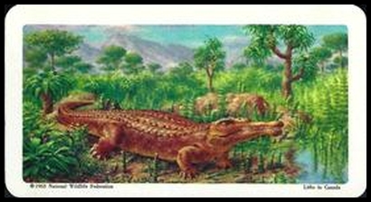 9 Phytosaurus
